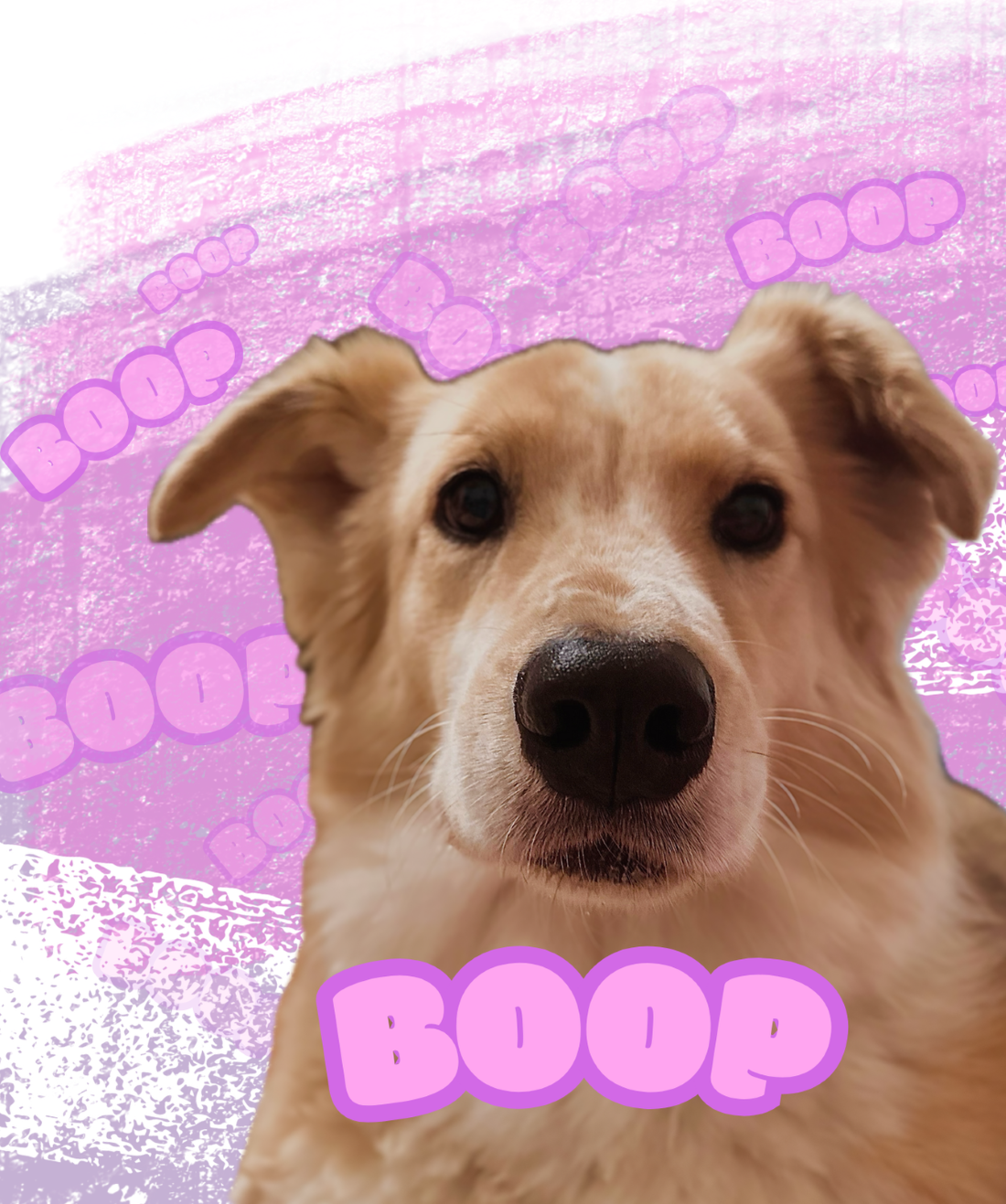 Fee Boop™