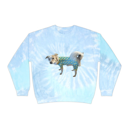 Playful Fee Themed Tie-Dye Sweatshirts - Three Versions