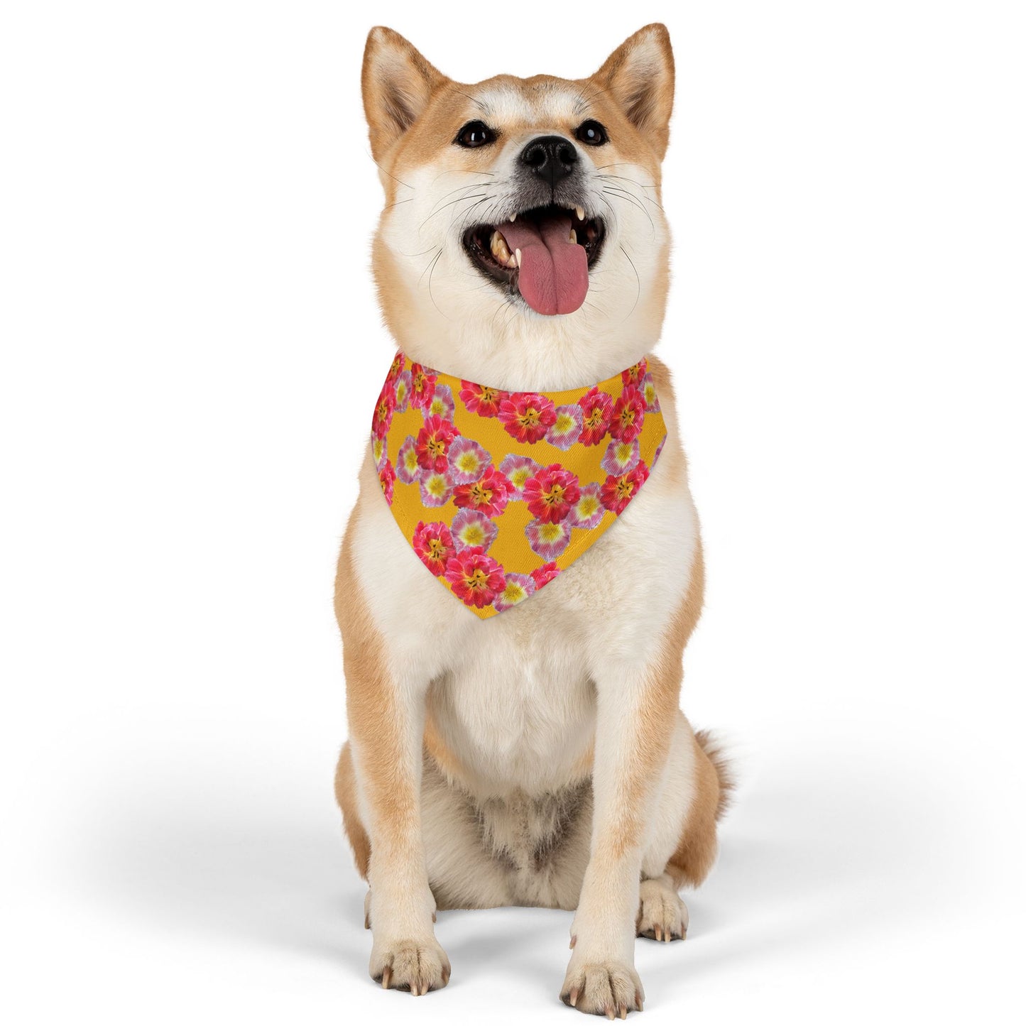 Vibrant “Sunshine Bloom” Pet Bandana Collar