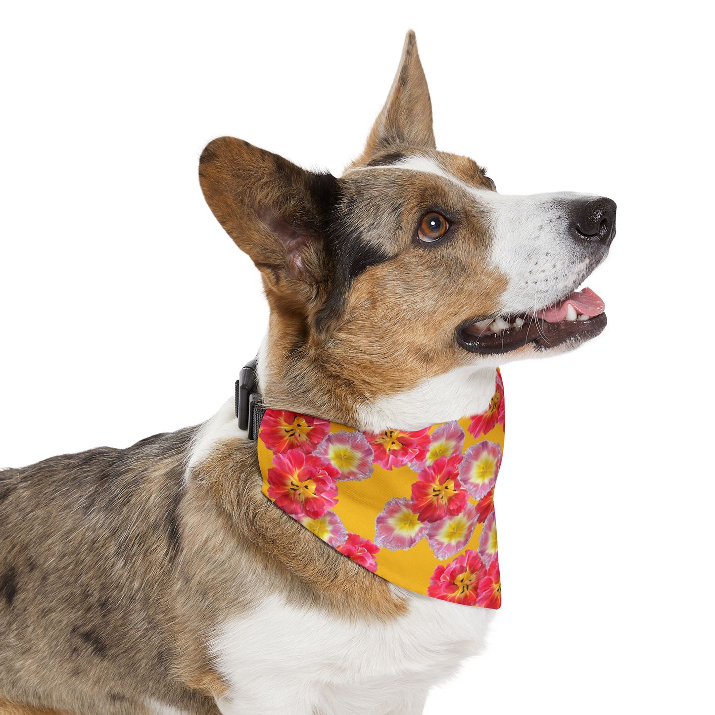 Vibrant “Sunshine Bloom” Pet Bandana Collar