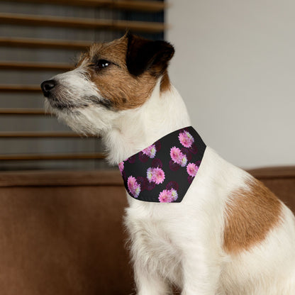 Floral "Black Dahlia" Pet Bandana Collar