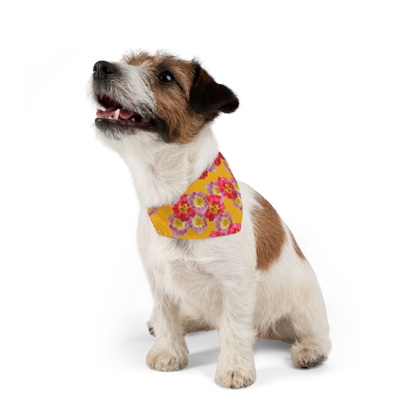 Vibrant “Sunshine Bloom” Pet Bandana Collar