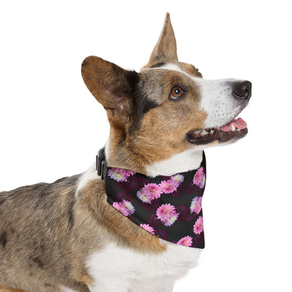 Floral "Black Dahlia" Pet Bandana Collar