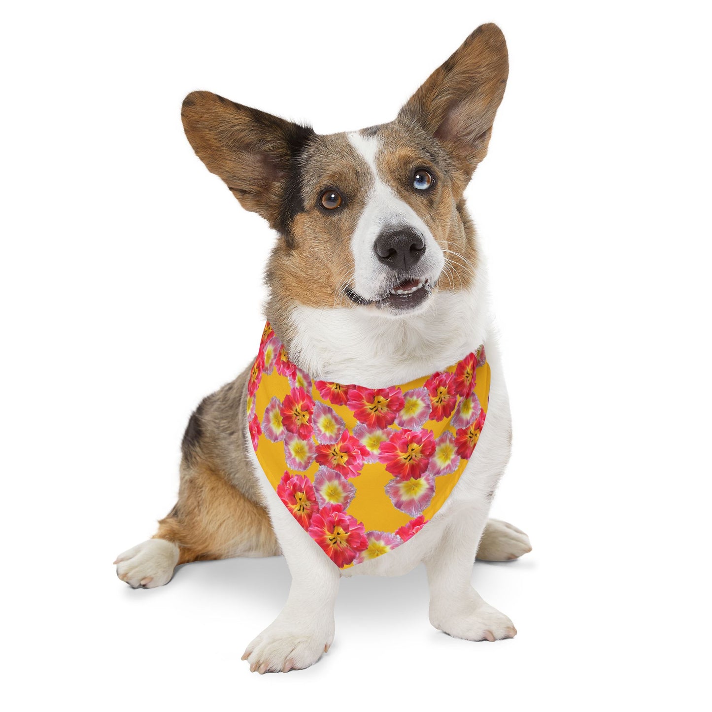 Vibrant “Sunshine Bloom” Pet Bandana Collar