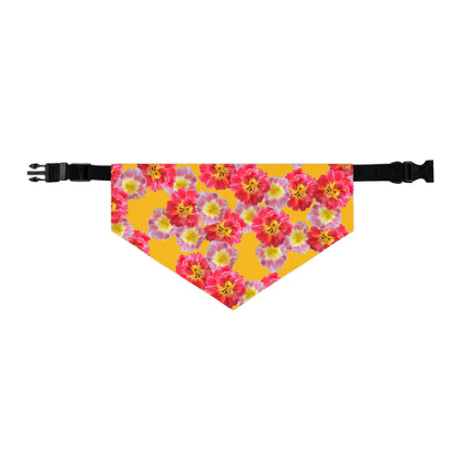 Vibrant “Sunshine Bloom” Pet Bandana Collar