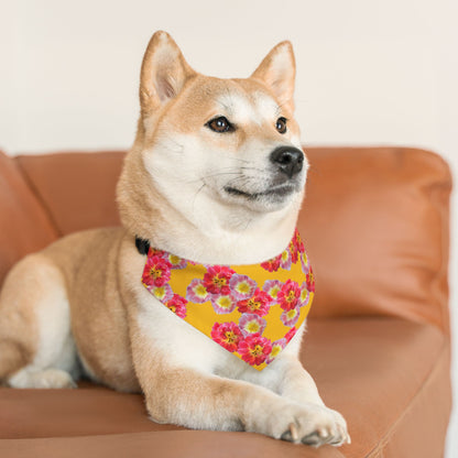 Vibrant “Sunshine Bloom” Pet Bandana Collar