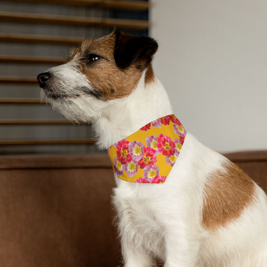 Vibrant “Sunshine Bloom” Pet Bandana Collar
